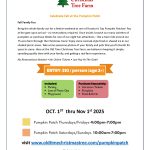 Pumpkin Patch at Old Time Christmas Tree Farm