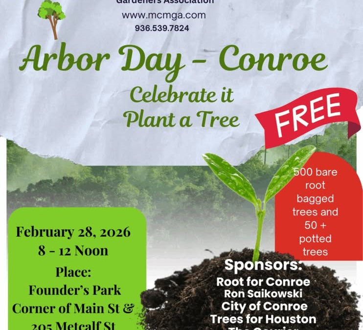 Arbor Day- Conroe