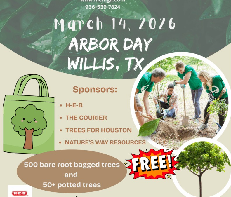 Arbor Day- Willis
