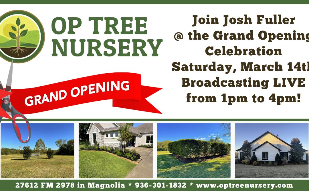 OP Tree Nursery Grand Opening- Live Broadcast